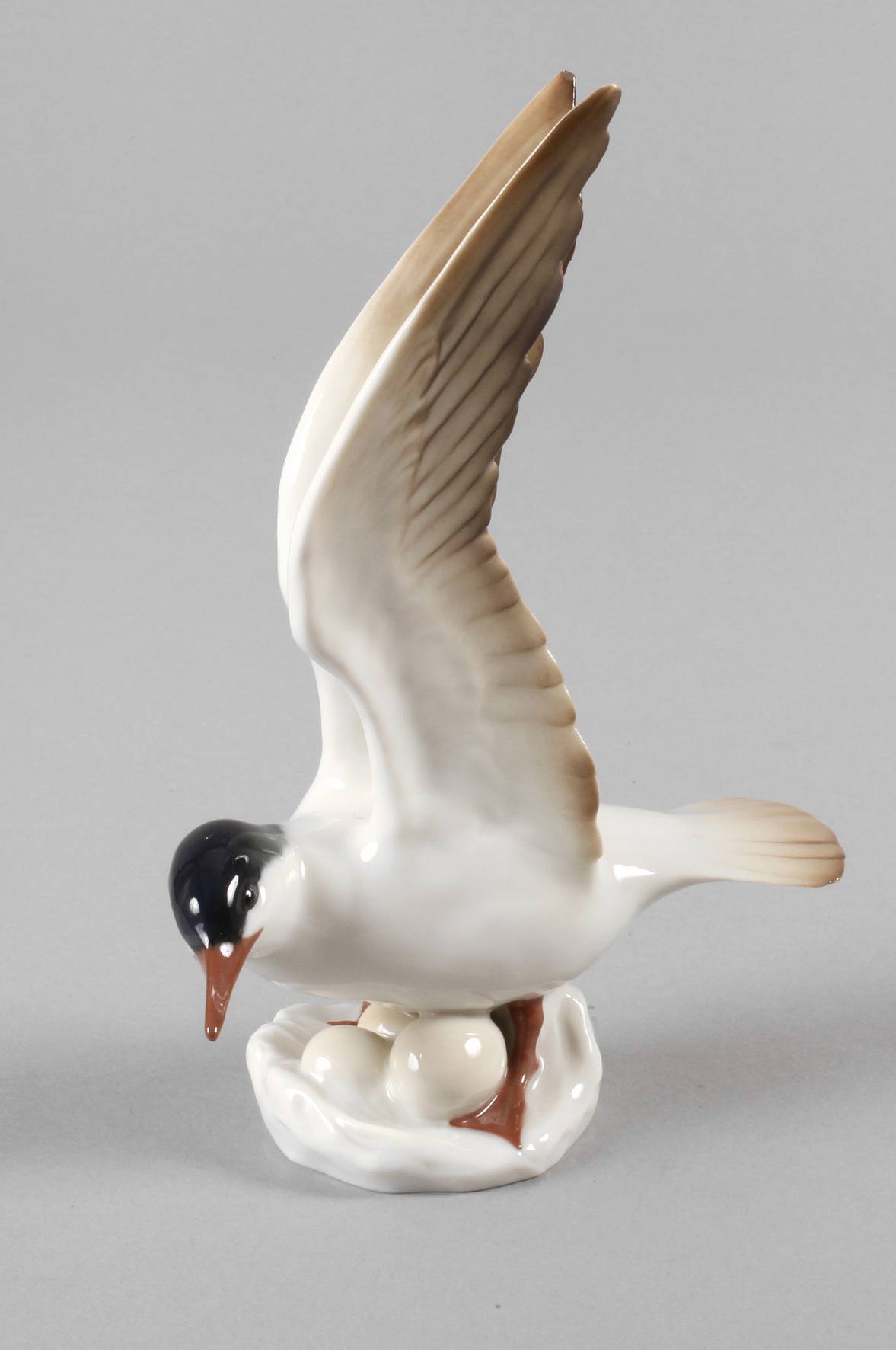 Rörstrand Fluss-Seeschwalbe