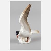 Rörstrand Fluss-Seeschwalbe111