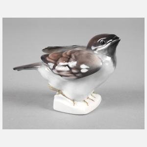 Rörstrand kleiner Spatz