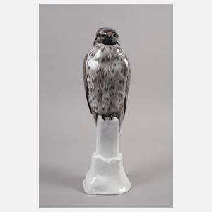 Rosenthal großer Bussard auf Felsen