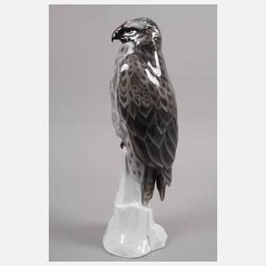 Rosenthal großer Bussard auf Felsen