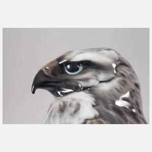 Rosenthal großer Bussard auf Felsen