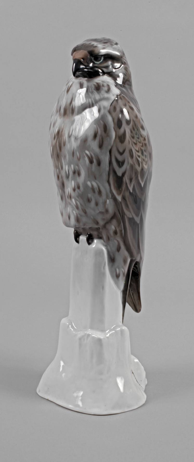 Rosenthal großer Bussard auf Felsen