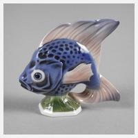 Rosenthal Zierfisch111