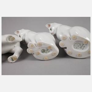 Copenhagen drei Katzen