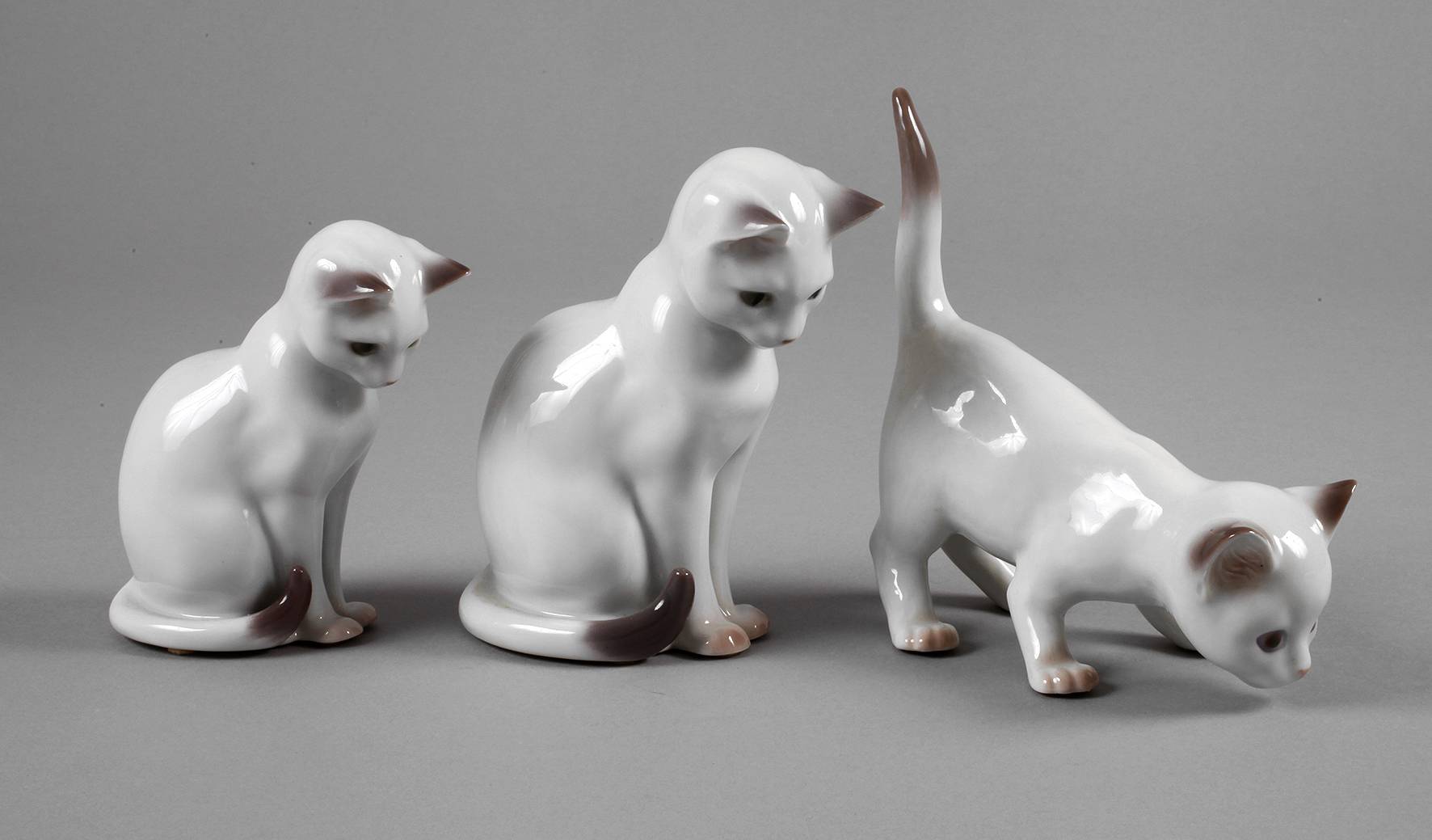 Copenhagen drei Katzen