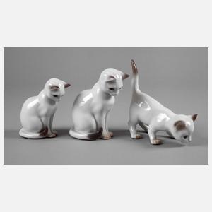 Copenhagen drei Katzen