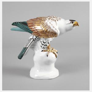 Heubach großer Bussard