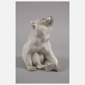 Heubach sitzender Braunbär