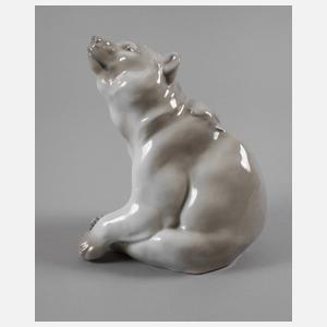 Heubach sitzender Braunbär