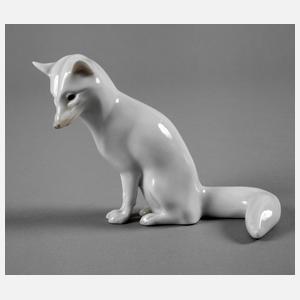 Heubach sitzender Fuchs