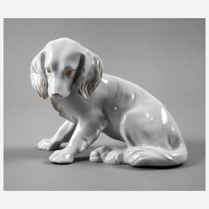 Hutschenreuther junger Hund