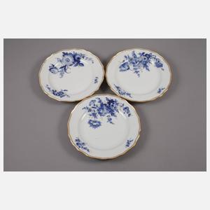 Meissen zehn Speiseteller ”Blaue Blume mit Goldgräsern”