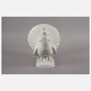 Meissen balzender Auerhahn