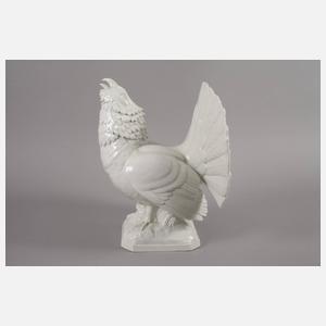 Meissen balzender Auerhahn