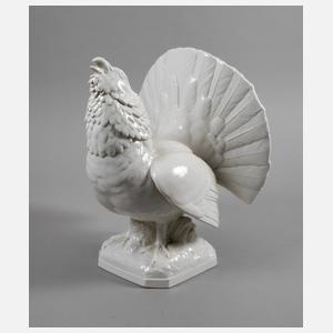 Meissen balzender Auerhahn