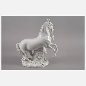 Meissen Mohr mit Schimmel