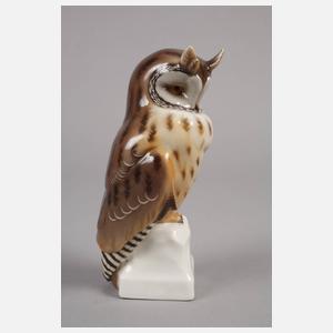 Nymphenburg Käuzchen