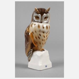 Nymphenburg Käuzchen