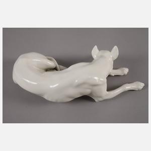 Nymphenburg liegende Dogge