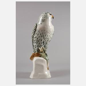 Passau ”Gerfalke mit Beute”