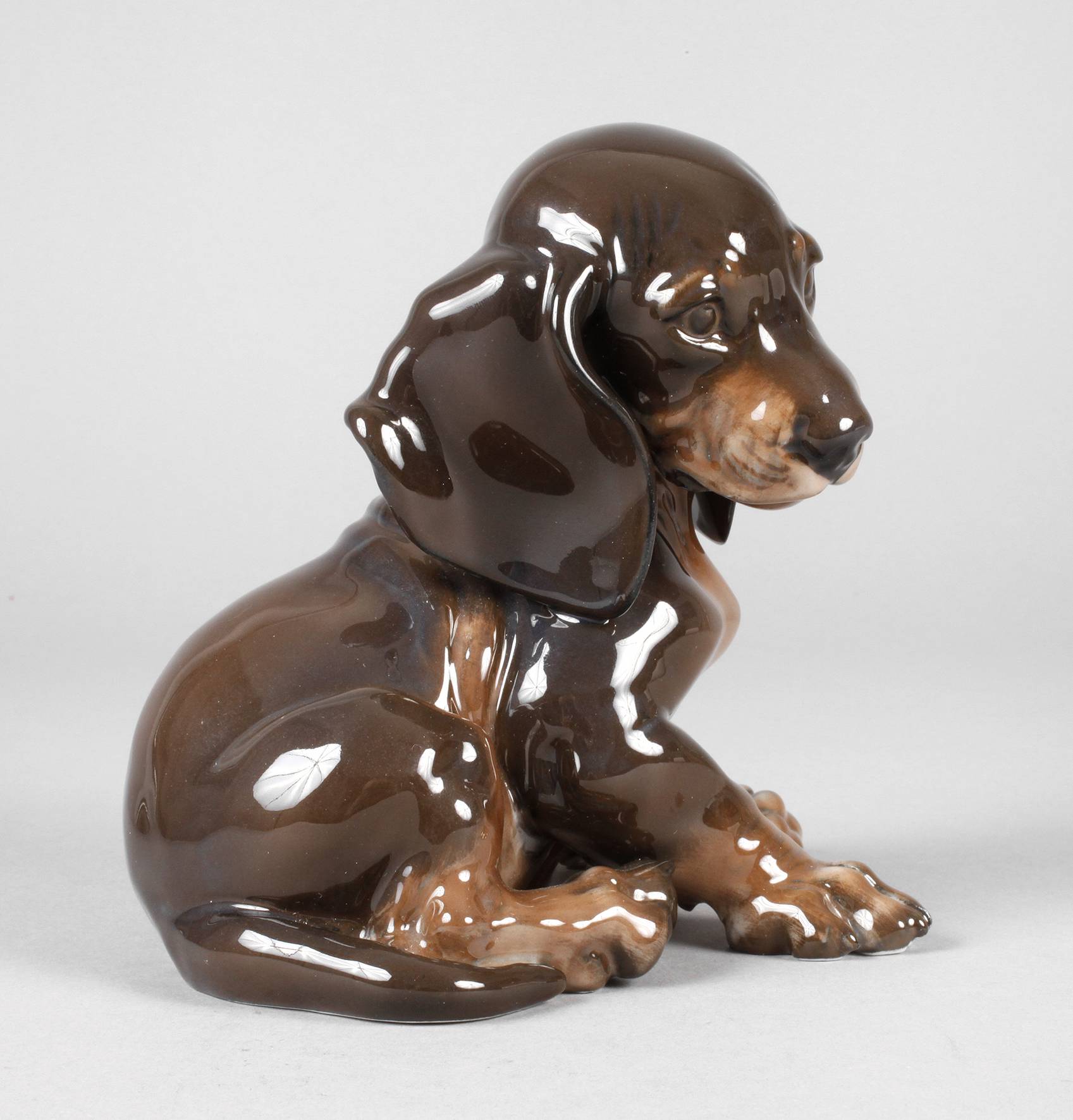 Rosenthal Dackelwelpe