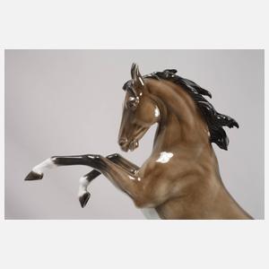 Rosenthal springender Hengst