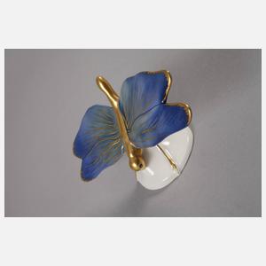 Volkstedt Schmetterling