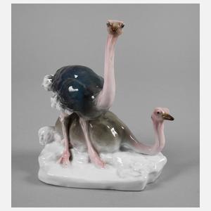 Volkstedt Straußenpaar