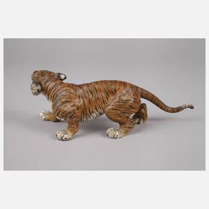 Wiener Bronze Tiger