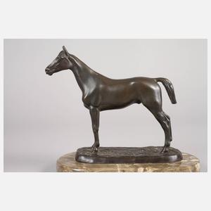 Isidore Jules Bonheur, nach, Vollbluthengst