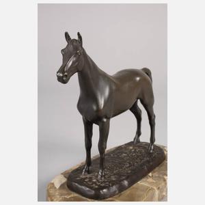 Isidore Jules Bonheur, nach, Vollbluthengst