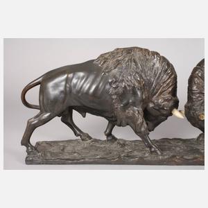 Peder Jensen, kämpfende Büffel