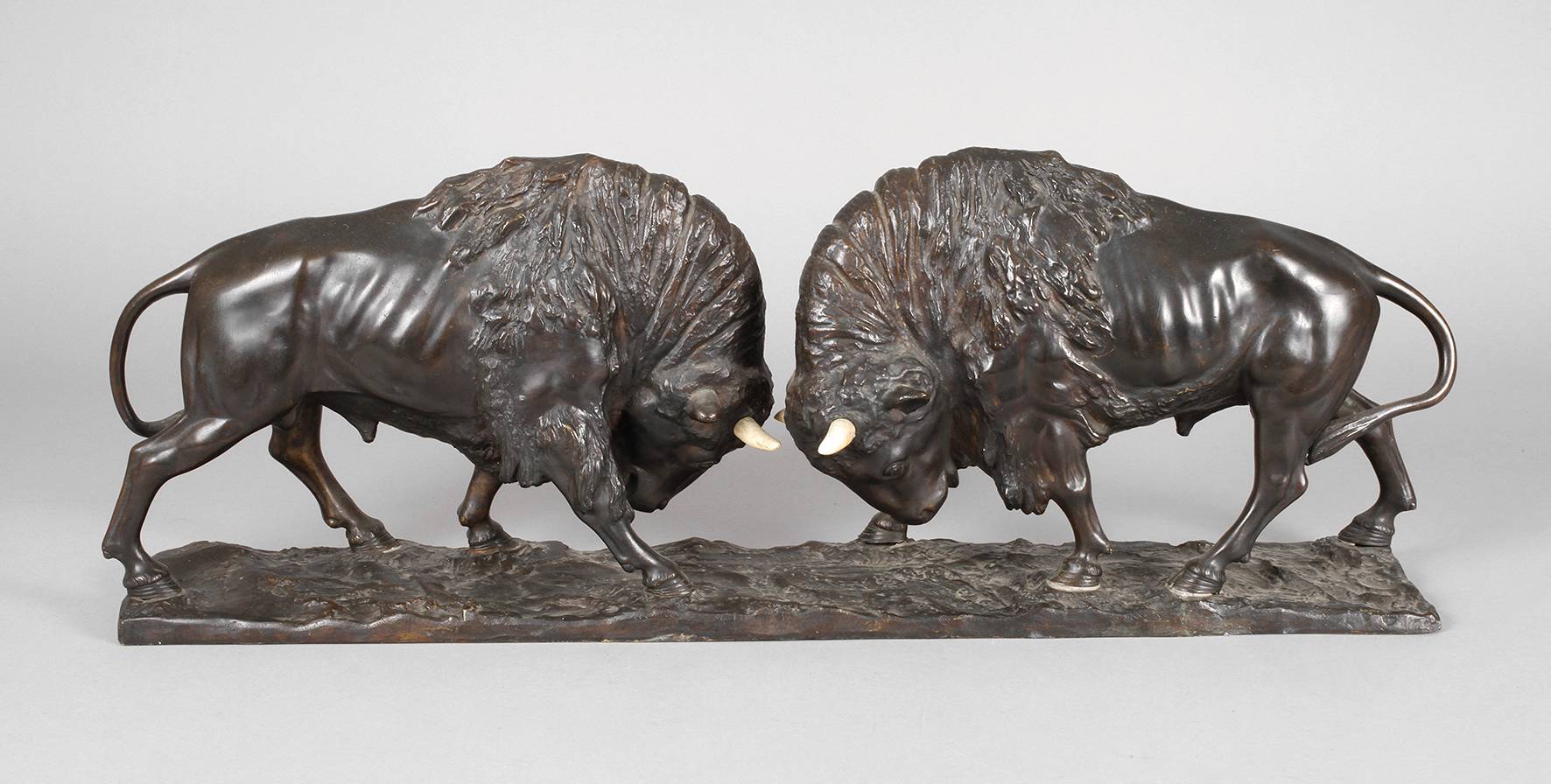 Peder Jensen, kämpfende Büffel