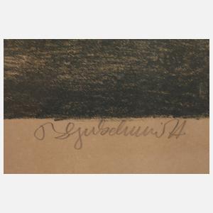 Prof. Bruno Goldschmitt, Im Gebirge