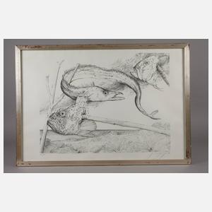 Günter Grass, Fischköpfe