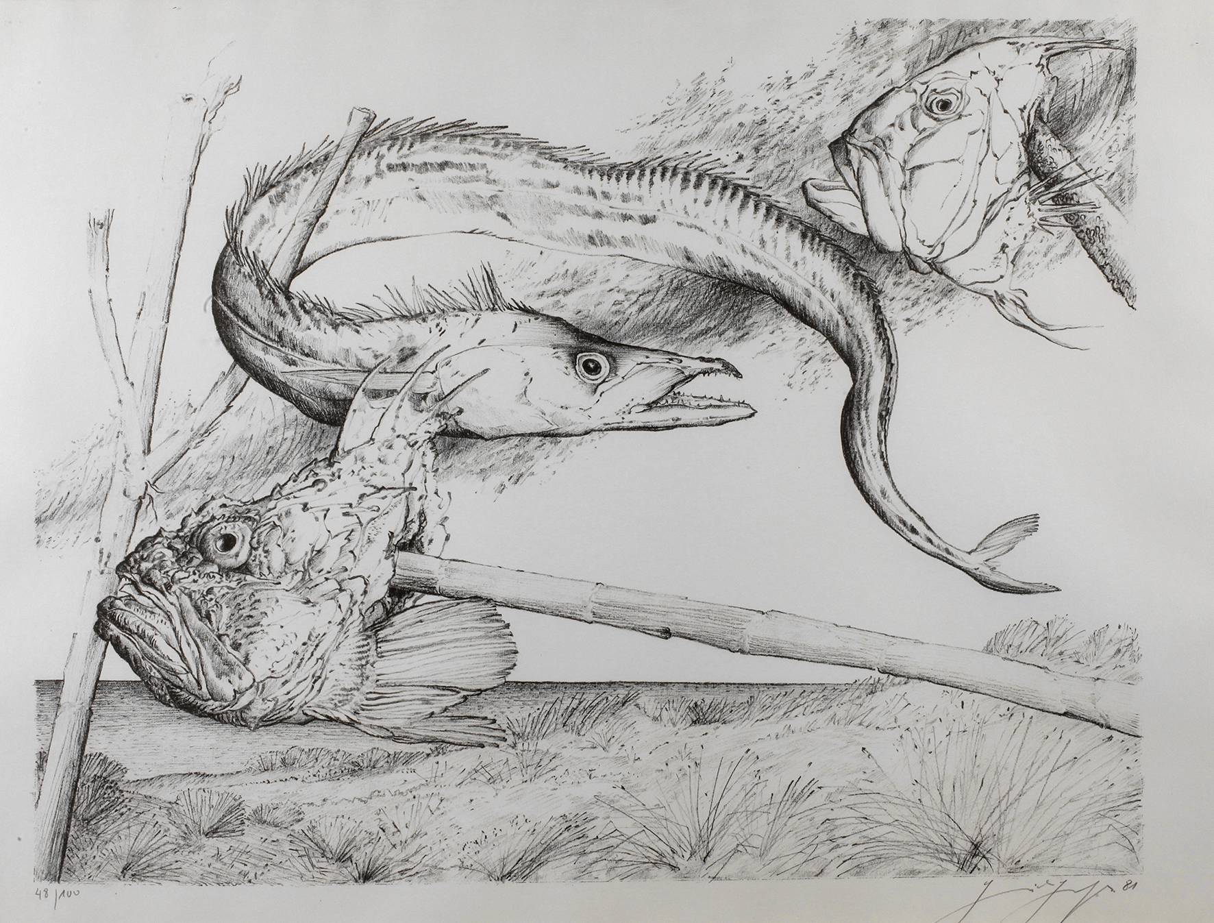 Günter Grass, Fischköpfe