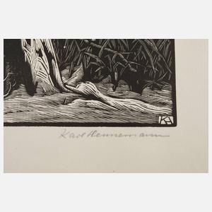 Karl Hennemann, Winter am See