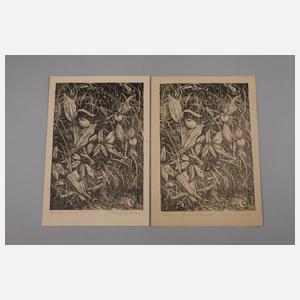 Martin Junge, Sammlung Lithographien