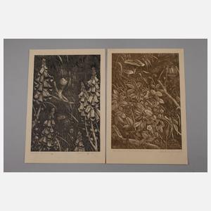 Martin Junge, Sammlung Lithographien