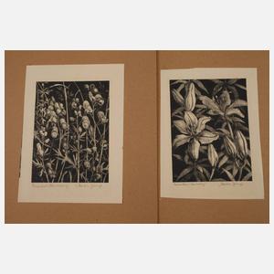 Martin Junge, Sammlung Lithographien