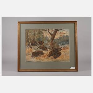 P. Günther, Wildschweine im Wald