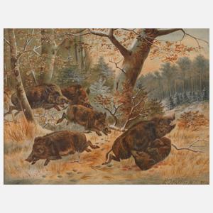 P. Günther, Wildschweine im Wald