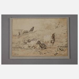 Jan Bedijs Tom, Schafherde auf der Weide