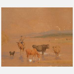 Kühe in der Schwemme