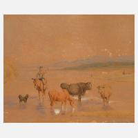 Kühe in der Schwemme111