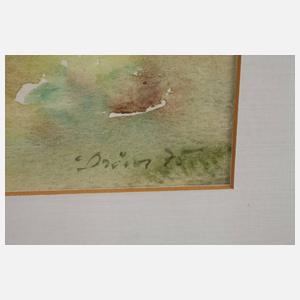 Wolfgang Dörner, Birken in Sommerlandschaft