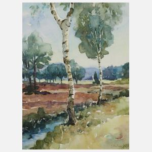 Wolfgang Dörner, Birken in Sommerlandschaft