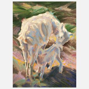 Hans Kitslaar, Ziegen