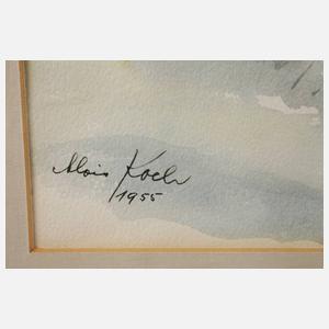 Prof. Alois Koch, Schneevergnügen